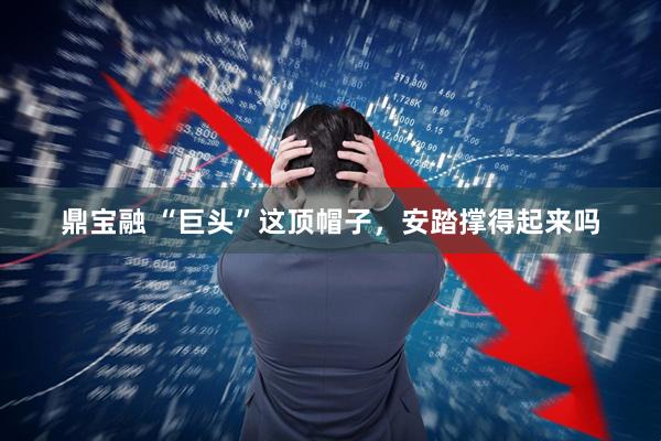 鼎宝融 “巨头”这顶帽子，安踏撑得起来吗