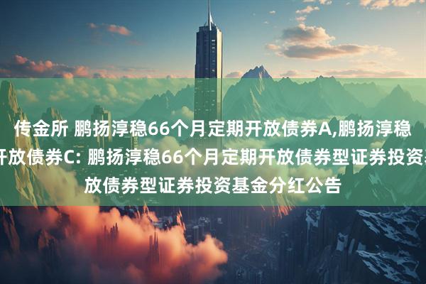 传金所 鹏扬淳稳66个月定期开放债券A,鹏扬淳稳66个月定期开放债券C: 鹏扬淳稳66个月定期开放债券型证券投资基金分红公告