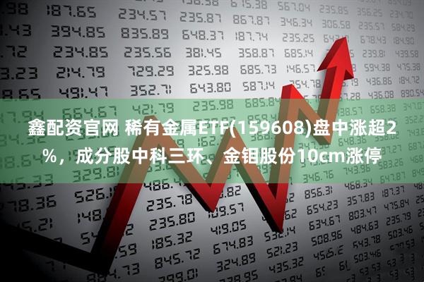 鑫配资官网 稀有金属ETF(159608)盘中涨超2%，成分股中科三环、金钼股份10cm涨停
