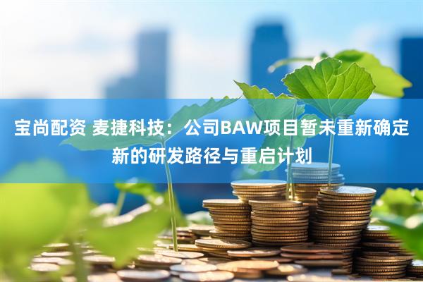 宝尚配资 麦捷科技：公司BAW项目暂未重新确定新的研发路径与重启计划